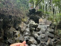 -杭州西湖风景名胜区-三生石