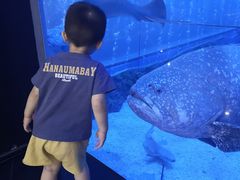 -成都浩海立方海洋公园