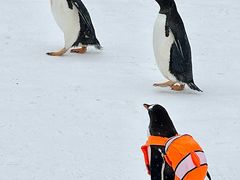 -哈尔滨热雪奇迹