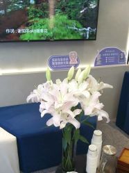 -JY·VALMONT法儿曼官方面护·海菲秀黑钻体验中心