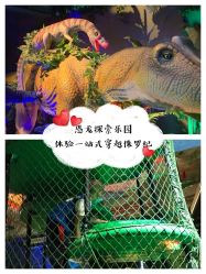 -恐龙探索乐园(磁器口店)