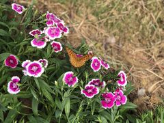 -南京市无想山景区