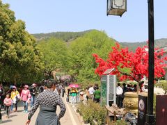 -木兰云雾山