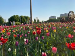 -长春公园(普阳街道)