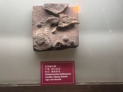 -自贡恐龙博物馆