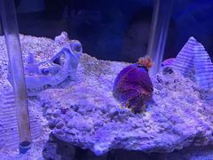 -太平洋海底世界