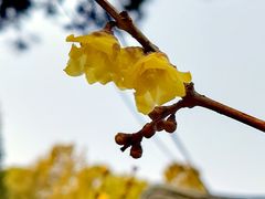 -颐和园