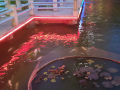 -桃园盛宴·岭南粤菜·手工茶点(南庄店)