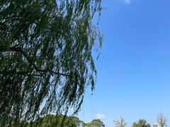 -新江湾城公园