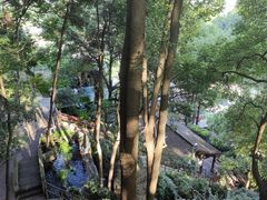 -巴倒烫陆派重庆火锅(南山店)