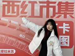 -金茂览秀城