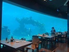 -海棠湾洲际-涛·海底餐厅·美人鱼·自助餐·海底隧道