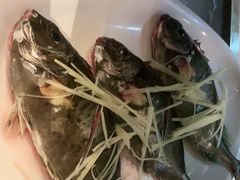 -青蓬蒸汽海鲜·深圳老字号·团建聚会(壹方城店)