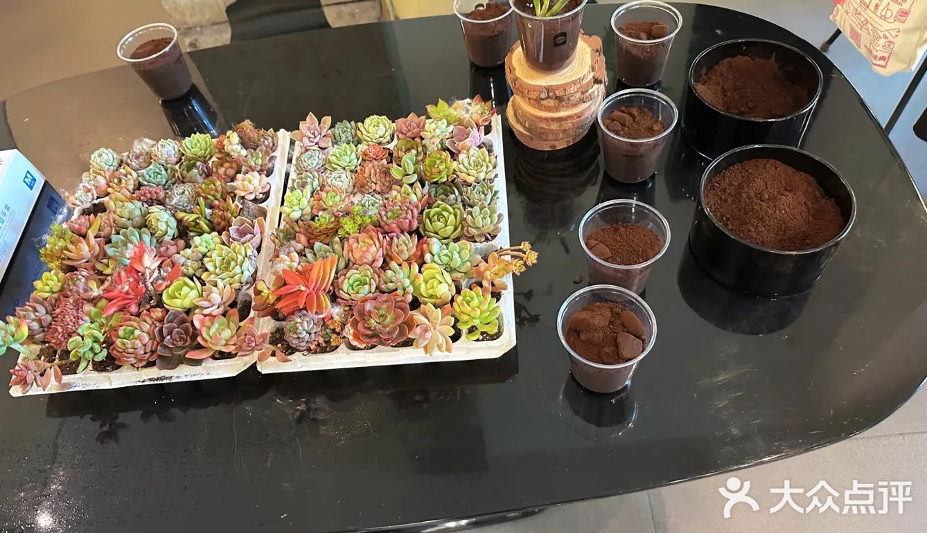 在三亚慢悠悠喝一杯咖啡 好惬意🥱