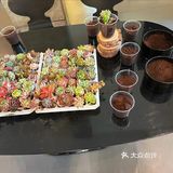 在三亚慢悠悠喝一杯咖啡 好惬意🥱