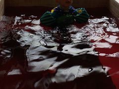 -中家鑫园温泉酒店鑫悦汤泉