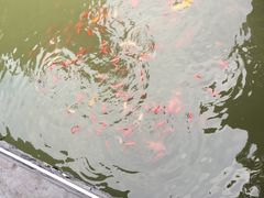 -龙潭水乡