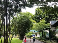 -晓港公园