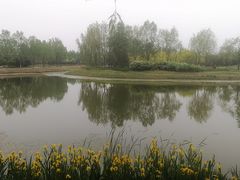 -东郊湿地公园
