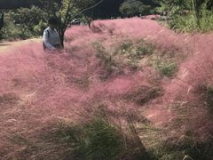 -宁波浙东大竹海景区