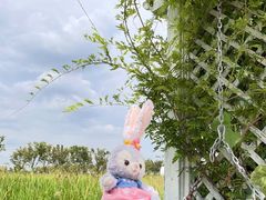 -嘉北郊野公园
