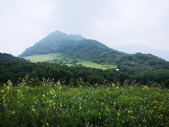 -白草畔自然风景区