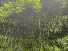 -海口火山口国家地质公园