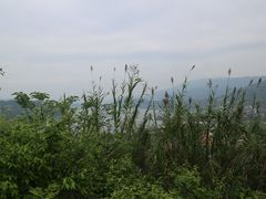 -美心红酒小镇游乐园