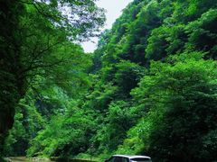 -狮子关旅游区