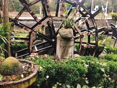 -青城甲(青城山店)