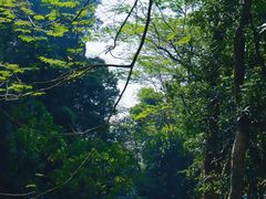 -火炉山森林公园