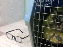 -纳吉亚猫专科动物医院·北北分院
