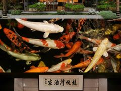 -龙悦湾酒家·八阵鱼生·渔人码头店