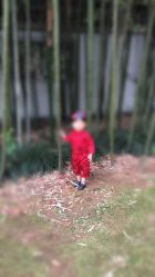 -爱你宝贝孕婴亲子摄影美学馆(绍兴店)