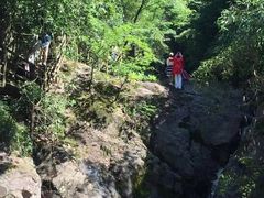 -东天目山风景区