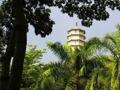 -深圳国际园林花卉博览园