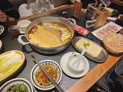 -滇牛云南火锅(桂林路店)