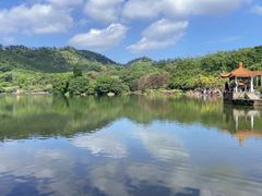 -深圳仙湖植物园