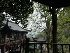 -十八棵（老龙井）御茶园(老龙井店)