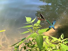 -玉渡山自然风景区