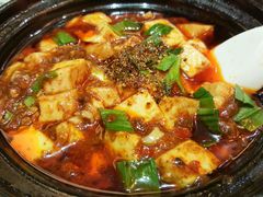 -陈麻婆豆腐总店