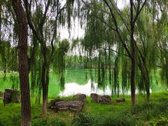 -秀水公园