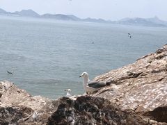 -海驴岛(荣成市)
