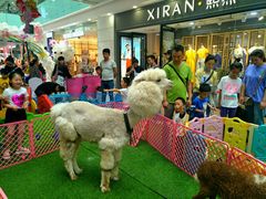 -万达广场(沈阳铁西店)