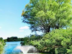 -翠湖国家城市湿地公园