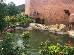 -芽庄珍珠岛游乐园
