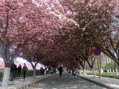 -西北农林科技大学(北校区)