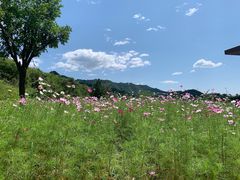 -山顶餐厅·山居菜