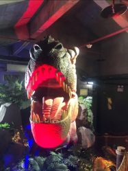 -恐龙探索乐园(磁器口店)