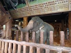 -长鹿旅游休博园